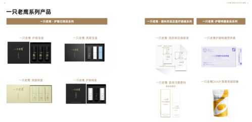 同光绪访同学记 走进精英企业·双雄汇'一只老鹰'与'点优科技'